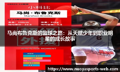 诺亚体育网页版